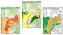 create all classification and temporal change detection maps