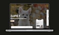 design pet clothing store pet accessories, pet dog clothing pet care