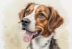 draw watercolor pet portrait