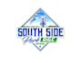 create high quality and beautiful disc golf logo design
