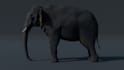 create professional 3d models, animations and renders