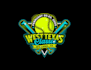 create attractive and imagination softball logo design