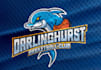create a custom mascot dolphin basketball team logo design