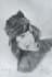 sketch a custom realistic portrait for you