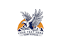 create wonderful and excellent eagle logo design