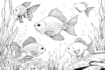 draw unique digital coloring book pages for children