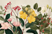 draw botanical illustration art for you