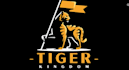 design a flag, logo or emblem