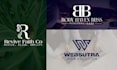 design a professional brand logo design