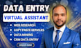 do accurately handle data entry web research excel pdf