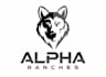 design modern wolf head logo