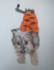 create a portrait of your pet