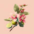 do botanical and animal designs and patterns for you