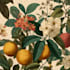 do botanical and anatomical scientific illustrations