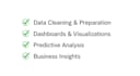 build a professional power bi or excel dashboard for your business
