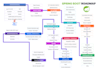 develop your full stack develper in java spring boot and react web app