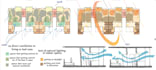 do architectural, urban analysis diagram