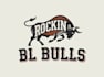 do modern high quality custom bull logo design