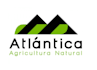 design a unique and professional hill logo