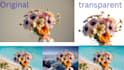 do bulk product image background and green screen removal