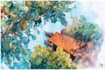 paint a beautiful watercolour illustration