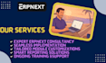 provide erpnext consultation and custom modules