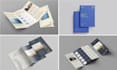 design a professional corporate brochure, company profile, or business booklet