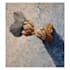 make a real hand made oil painting on canvas