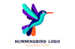 do wonderful flying hummingbird sky mascot logo design