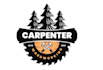 draw wonderful woodwork mascot logo design for you