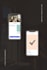 develop flutter firebase authentication app