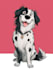 make cartoon pet portrait in disney style illustration