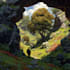 make environment concept art for you game
