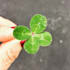 give a six month psychic prediction reading