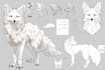 draw custom furry art, reference sheets and furry commission