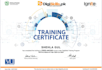 audit, setup, optimize and manage amazon PPC campaign ads