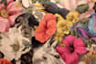 make any floral, animal or botanical art