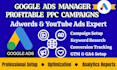 create expert google ads strategy run profitable ppc campaign and youtube ads