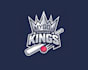 create graceful and fantastic cricket logo design