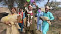 african happy birthday video african happy birthday video