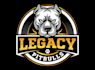 make an modern custom high quality pitbull logo design