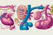 design medical figures and scientific illustrations