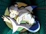 draw custom anime art for your oc