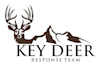 design modern deer logo
