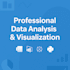 provide professional data analysis and data visualization