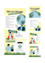design brochures for educational purposes
