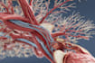 do professional medical illustrations