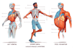 draw exercise, medical and anatomy illustrations