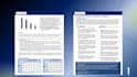 create professional equity research reports with in depth financial analysis