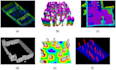 program robots using ros1 and ros2 simulated in gazebo